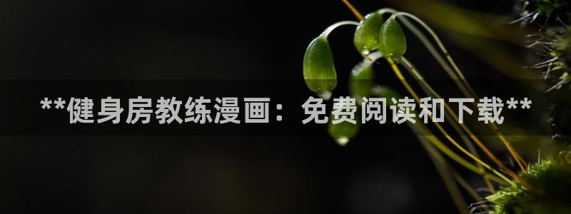 意昂2平台