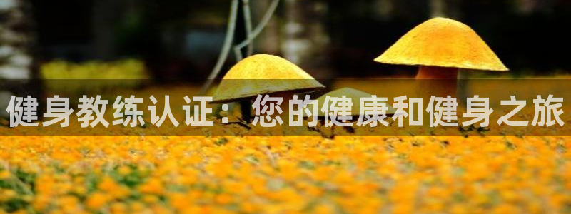 意昂2官方平台