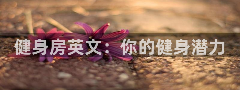 意昂2招商
