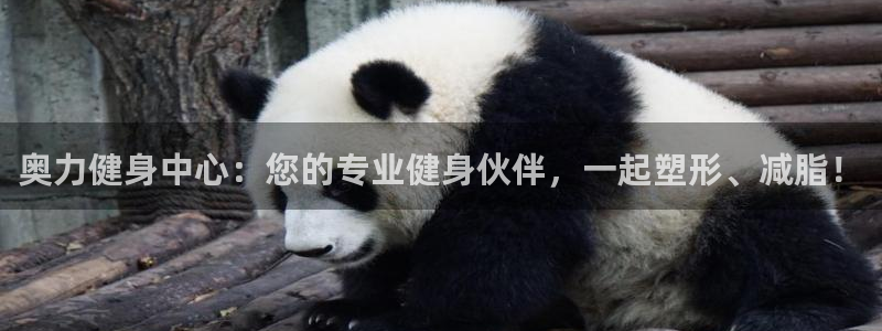 意昂2注册