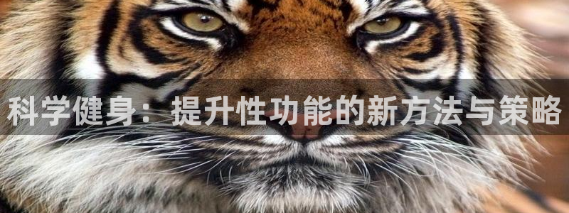 意昂2官网