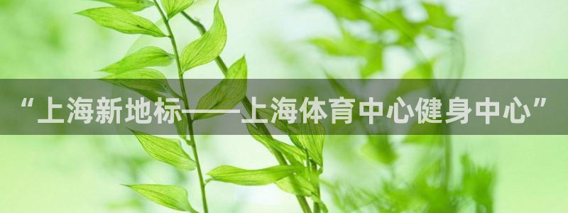 意昂2代理