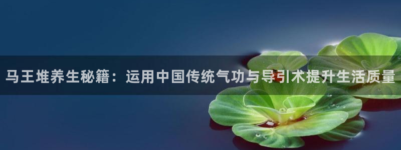 意昂2招商