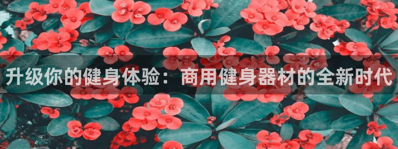 意昂2代理