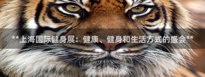 意昂2代理